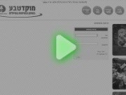 ניהול סיכונים - כניסה למערכת